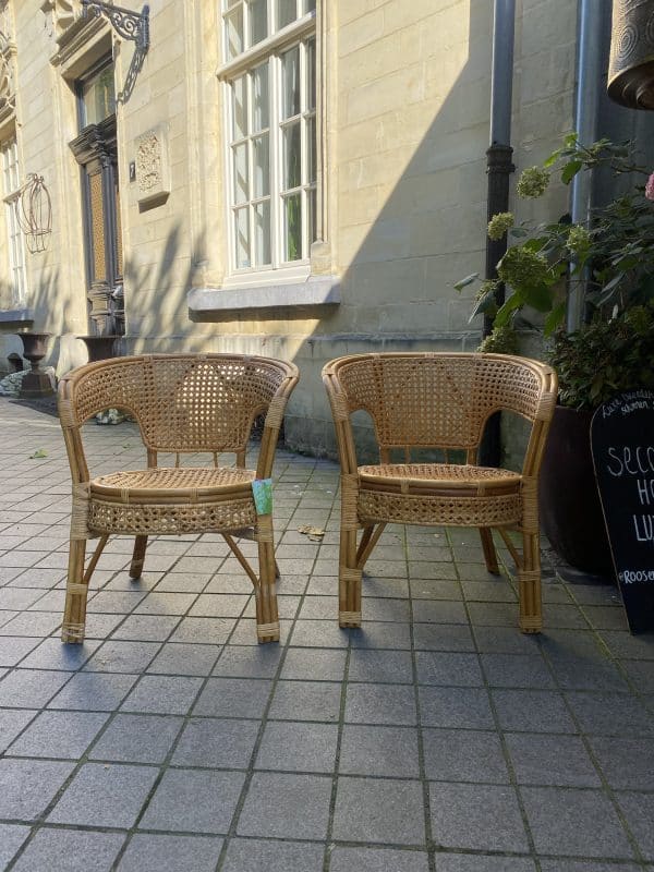 Rotan stoelen set van 2 stuks